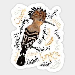 Hoopoe: Upupa epops, "hudhud" Sticker